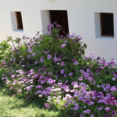 Agroturismo Can Fuster Сан Йоан де Лабрита Екстериор снимка