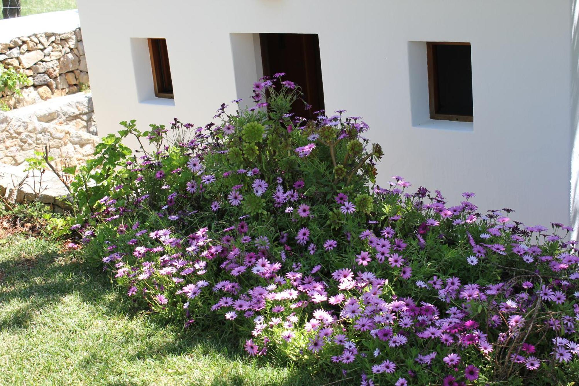 Agroturismo Can Fuster Сан Йоан де Лабрита Екстериор снимка