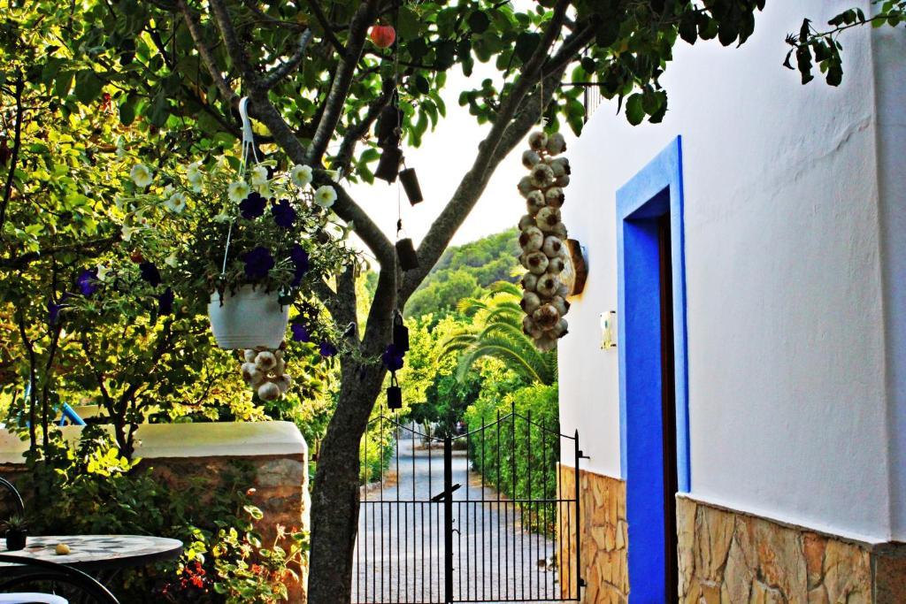 Agroturismo Can Fuster Сан Йоан де Лабрита Екстериор снимка